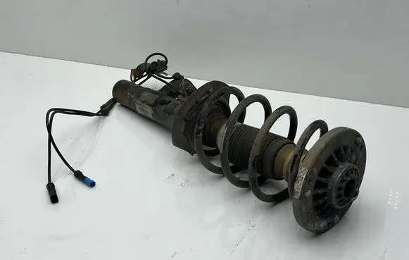 BMW X3 F25 Front shock absorber with coil spring 6797028 E4619301