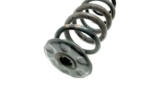 Toyota RAV 4 (XA40) Rear coil spring
