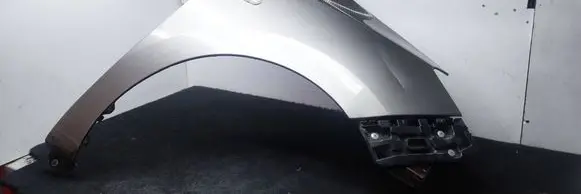 Dacia Lodgy Fender