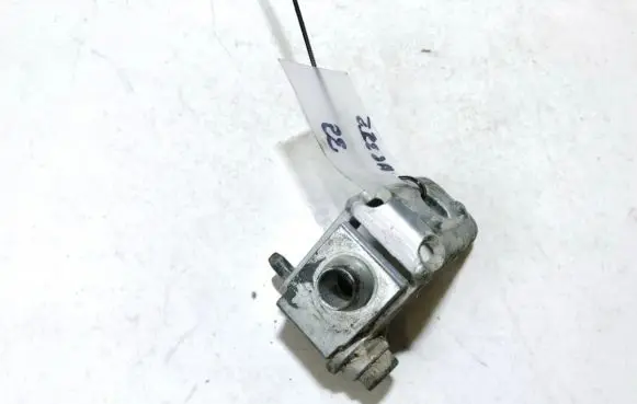 Peugeot 206 Rear door lower hinge