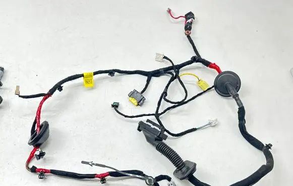 Front door wiring loom
