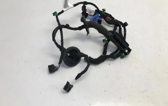 Volkswagen ID.4 Rear door wiring loom TAB016298MJ