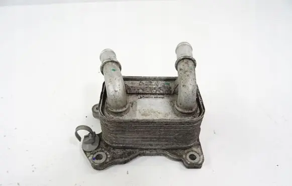 Nissan Juke I F15 Transmission/gearbox oil cooler 213052032R