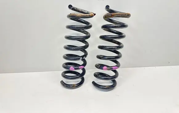Rear coil spring