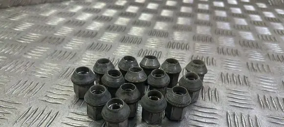 Land Rover Range Rover Evoque L538 Nuts/bolts 