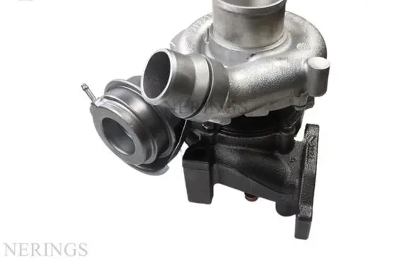 Renault Megane II Turbo 765015 765015-5006S