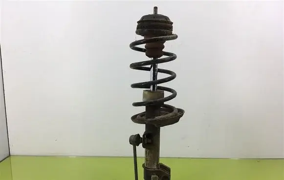 Fiat Grande Punto Front shock absorber with coil spring 
