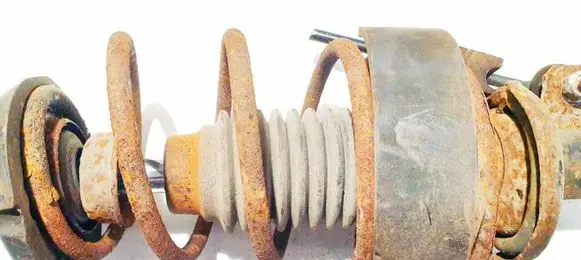 Citroen C2 Front coil spring 