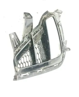 Front fog light trim/grill
