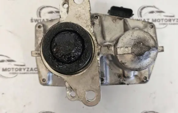 Renault Trafic III (X82) EGR valve H8201061904