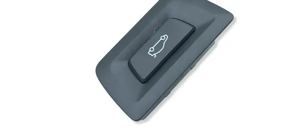 Mini Countryman U25 Tailgate/boot open switch button 30549693500