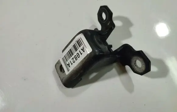 Renault Scenic III - Grand scenic III Rear door lower hinge