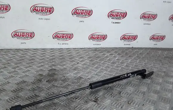 Tailgate/trunk strut/damper
