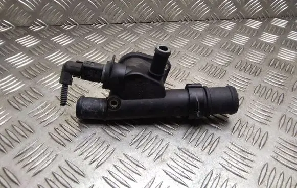 Thermostat/thermostat housing