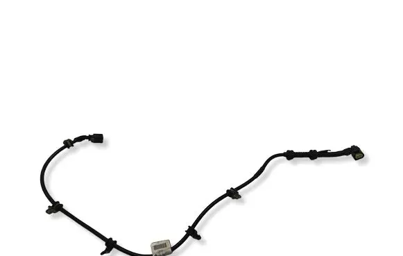 Chrysler Pacifica Other wiring loom P386AA Z55368194 T64WA28411B5536