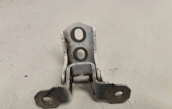 Renault Laguna III Rear door lower hinge L19GKA