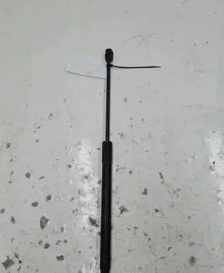 Tailgate strut