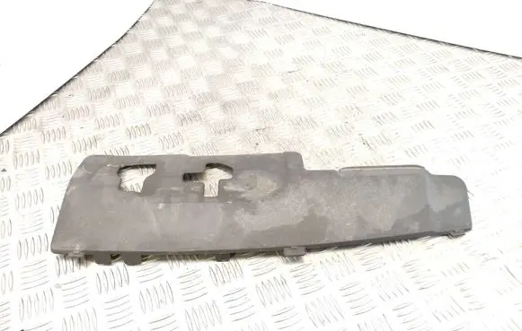 Engine bonnet/hood lock trim molding