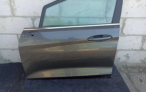Ford Fiesta Front door