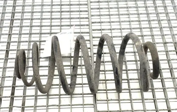 Rear coil spring