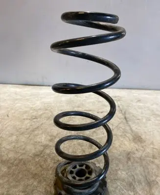 Rear coil spring