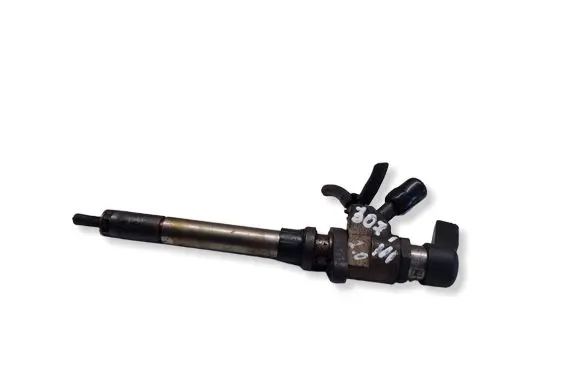 Peugeot 307 Fuel injector 9657144580