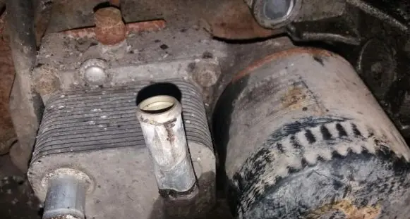 Ford Focus Engine oil radiator 