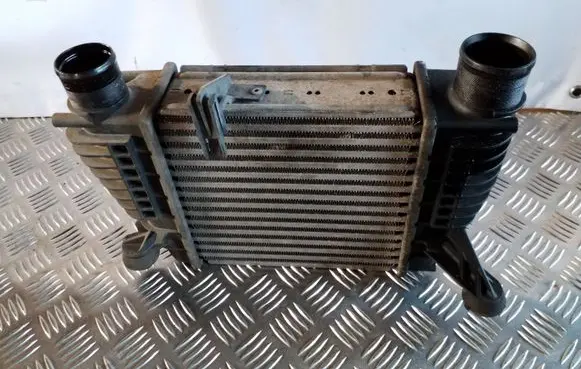 Nissan Juke I F15 Intercooler radiator 14461EM00A