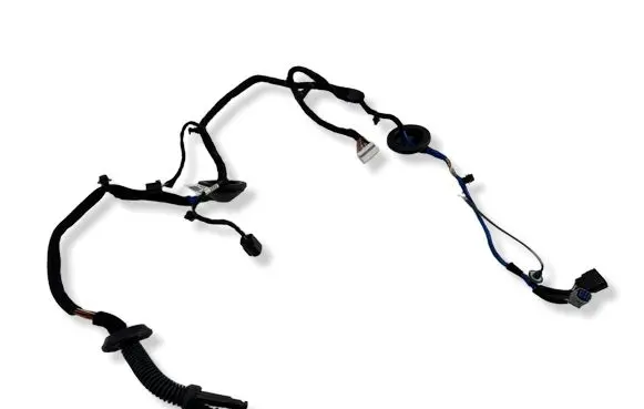 KIA EV6 Rear door wiring loom 91620CV280A
