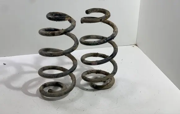 Rear coil spring