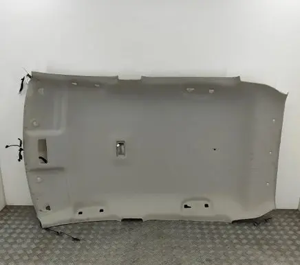 Nissan Leaf II (ZE1) Headlining 739B05SH5A