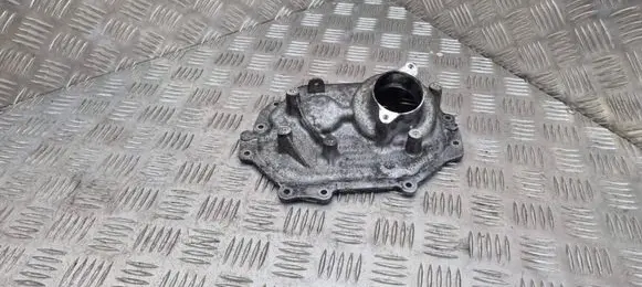Land Rover Discovery Sport Timing chain cover G4D36P053AB