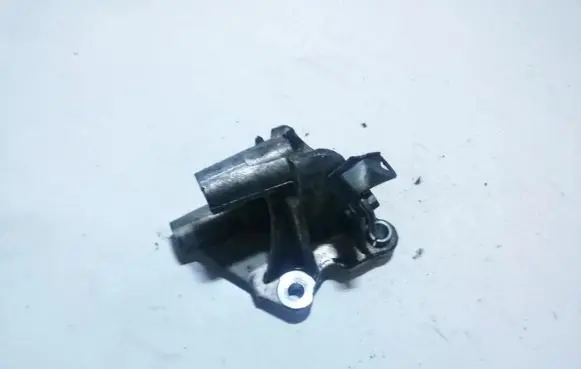 Suzuki Grand Vitara II Engine mounting bracket 8200193773