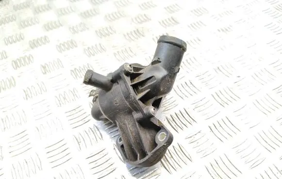 Thermostat/thermostat housing