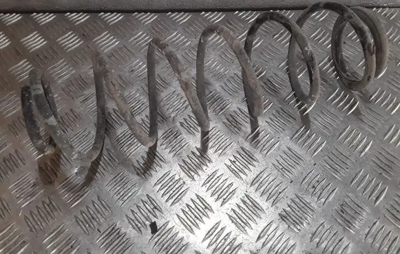 Renault Laguna II Rear coil spring