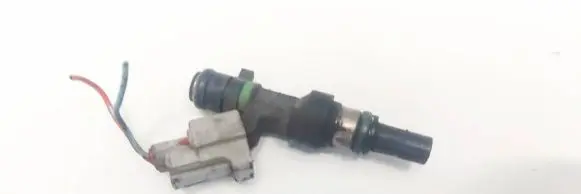 Nissan Qashqai Fuel injector FBY1160 6008124