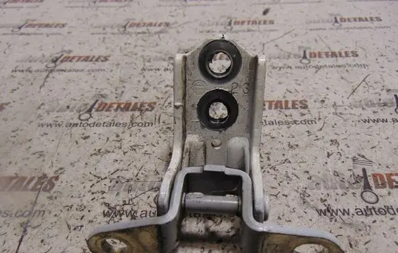 Nissan Juke I F15 Rear door lower hinge