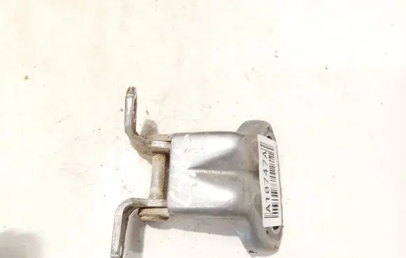 Rear door lower hinge