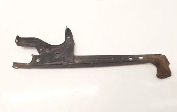Engine bonnet/hood lock trim molding