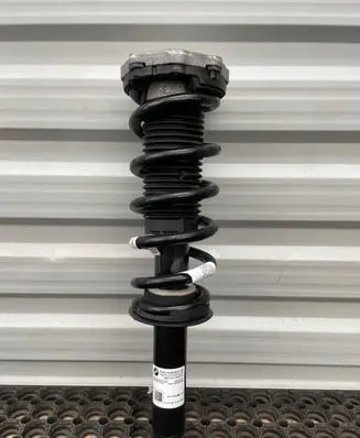 BMW X3 G01 Rear shock absorber/damper 6880604