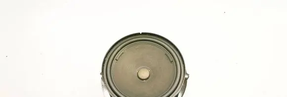 Volkswagen PASSAT B8 Front door speaker 3G0035454