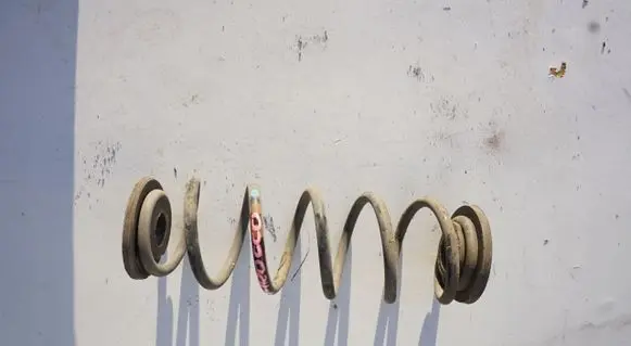 Rear coil spring