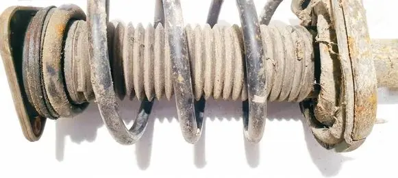 Ford Focus Front coil spring