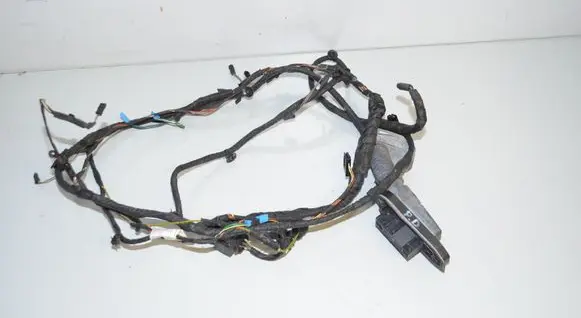 BMW 5 F10 F11 Front door wiring loom 9273445 61129282072 9282072