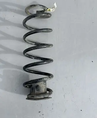 Rear coil spring