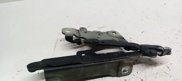 BMW 3 F30 F35 F31 Engine bonnet/hood hinges 13989610 R32612