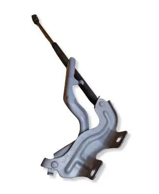 Nissan Murano Z51 Engine bonnet/hood hinges 1AAR
