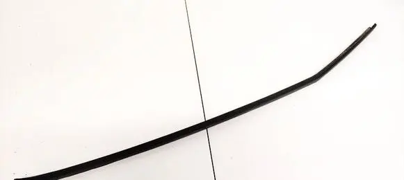 Volkswagen PASSAT B6 Windshield trim 