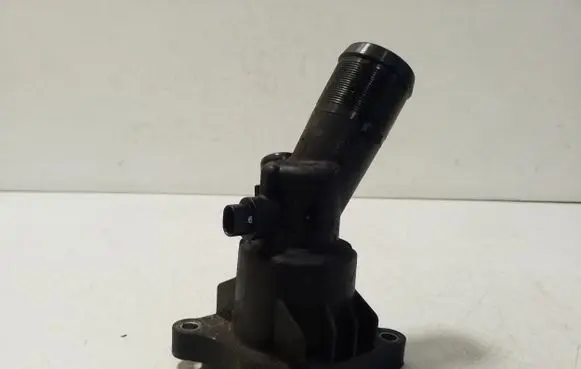Thermostat/thermostat housing