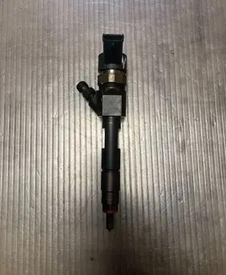 Suzuki Grand Vitara II Fuel injector 8200389369